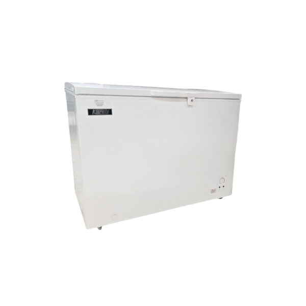 Freezer KEEPRITE  310Lt  110V  11ft³ Mod. BD-310 - Imagen 2